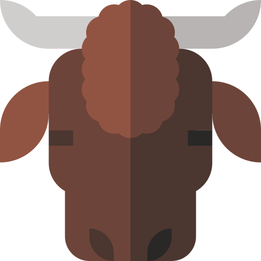 bizon Basic Straight Flat ikona