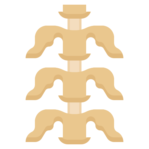 columna vertebral Surang Flat icono