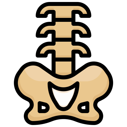Backbone Surang Lineal Color icon