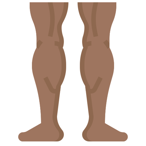 Leg Surang Flat icon