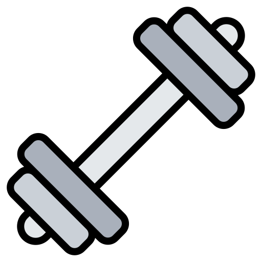 Barbell Generic Outline Color icon