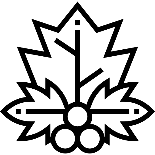 홍어 Meticulous Line icon