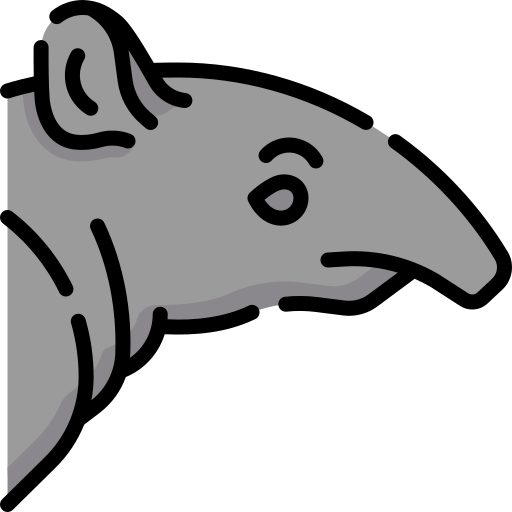 Tapir Special Lineal color icon