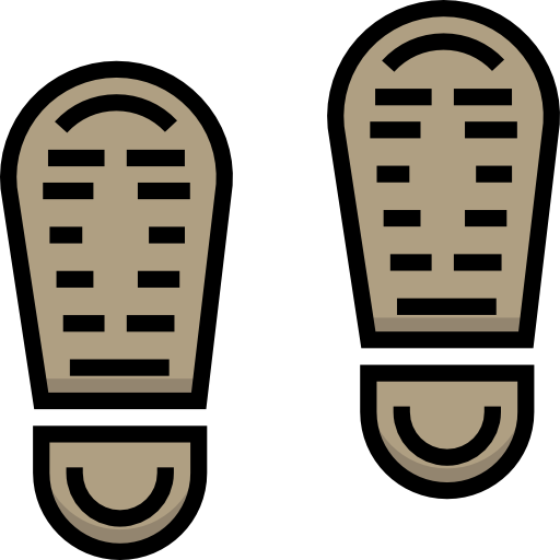 voetafdrukken Detailed Straight Lineal color icoon
