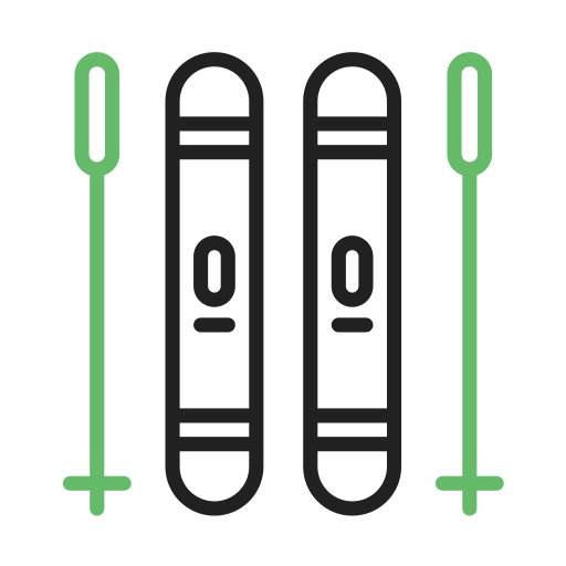 Skis Generic Outline Color icon