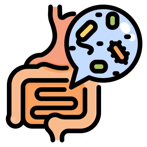 Digestive system dDara Lineal Color icon