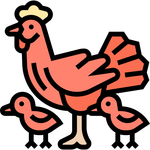 鶏 Meticulous Lineal Color icon