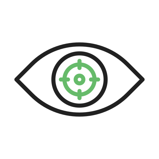 Vision Generic Outline Color icon