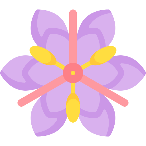 Saffron Special Flat icon