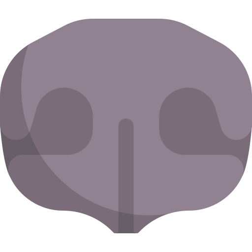 Dog nose Special Flat icon