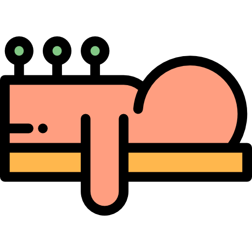 Acupuncture Detailed Rounded Lineal color icon