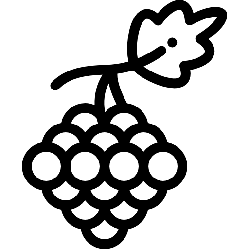 winogrona Detailed Rounded Lineal ikona