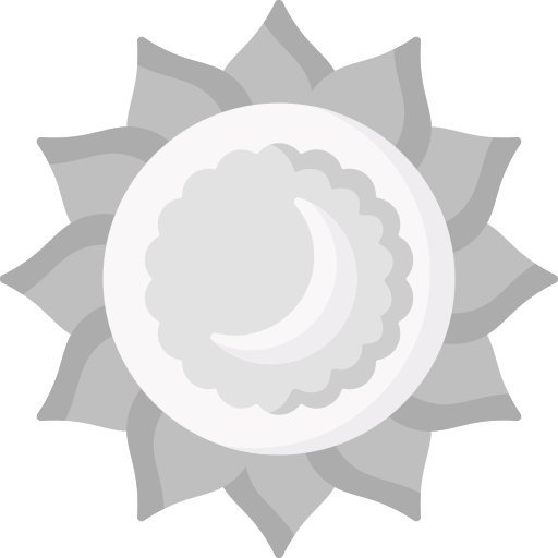 księżyc Special Flat ikona