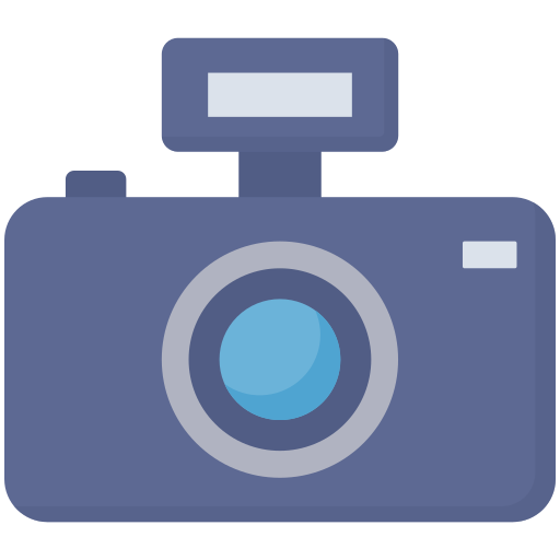 Камера Dinosoft Flat иконка