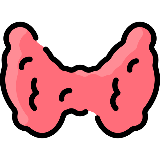Thyroid gland Vitaliy Gorbachev Lineal Color icon