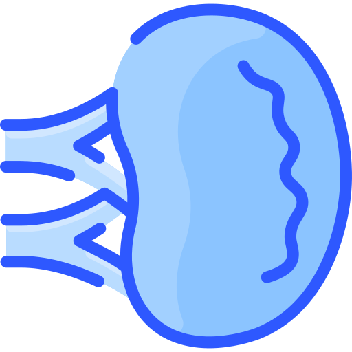 Селезенка Vitaliy Gorbachev Blue иконка