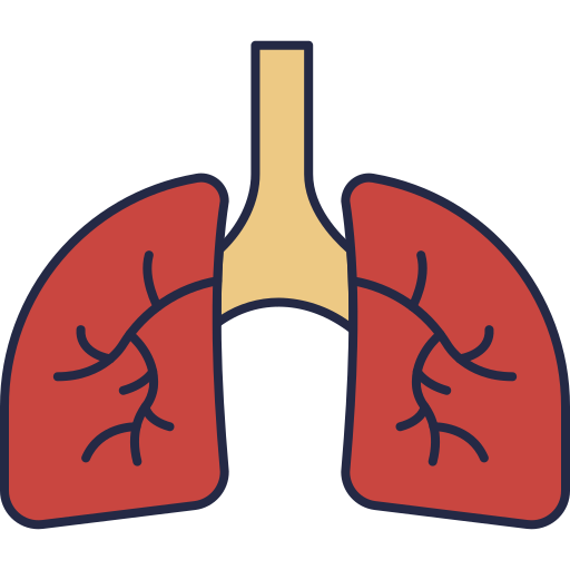pulmones Dinosoft Lineal Color icono