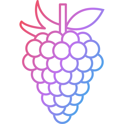 Grapes Generic Gradient icon