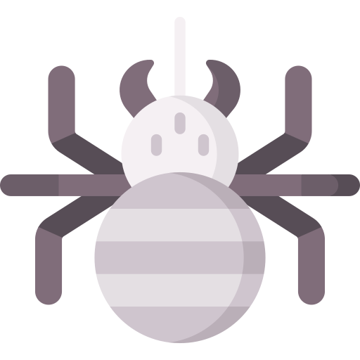 spinne Special Flat icon
