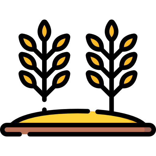 Wheat Special Lineal color icon