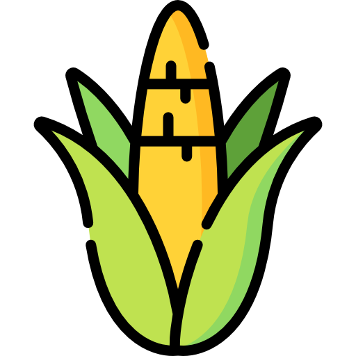 옥수수 Special Lineal color icon