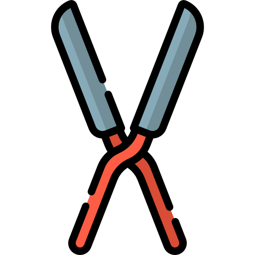 Shears Special Lineal color icon