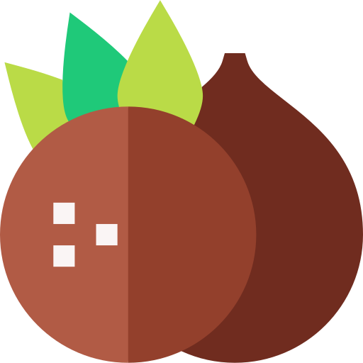 코코넛 Basic Straight Flat icon