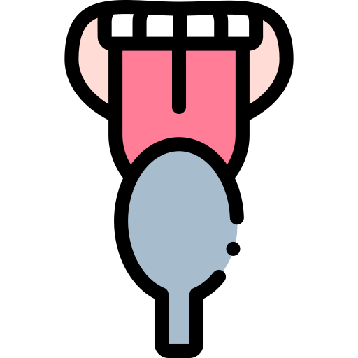 Licking pan Detailed Rounded Lineal color icon