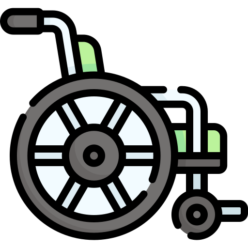 Инвалидное кресло Special Lineal color иконка