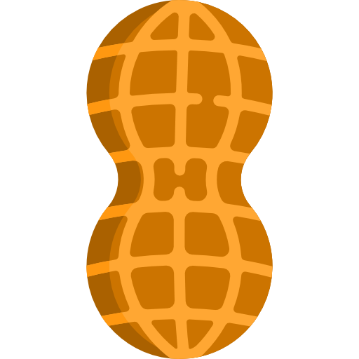 amendoim Special Flat Ícone