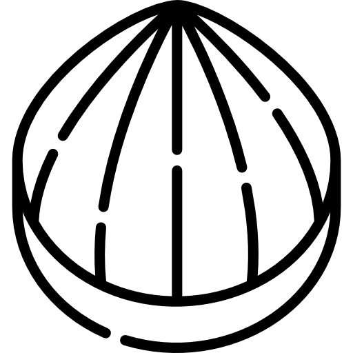 castaña Special Lineal icono
