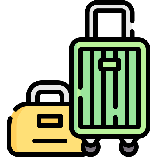 Багаж Special Lineal color иконка