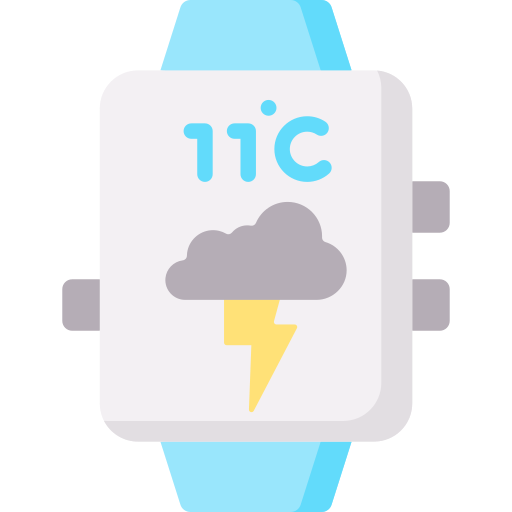 Smartwatch Special Flat icon