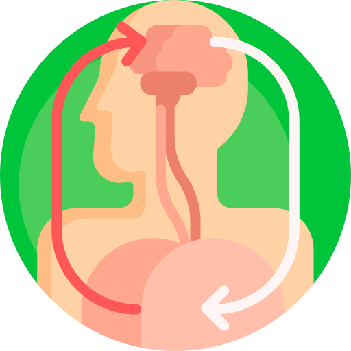 humano Detailed Flat Circular Flat icono