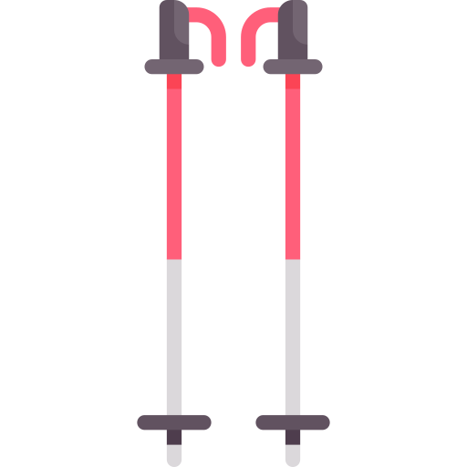 bâtons de ski Special Flat Icône