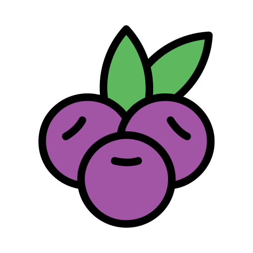 acai Generic Outline Color icon