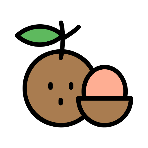 longan Generic Outline Color icon
