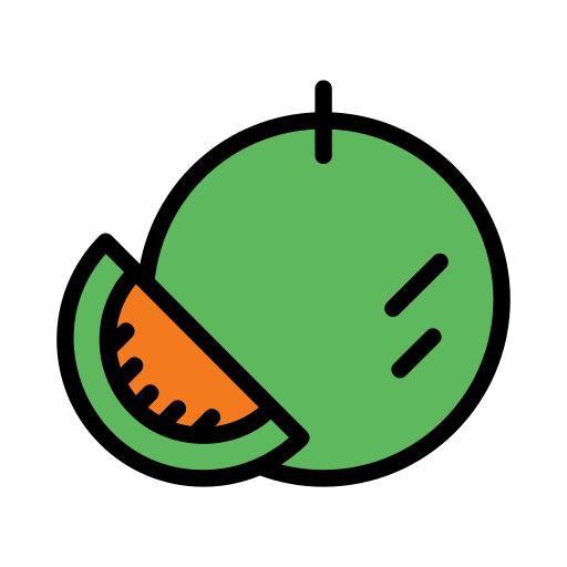 Cantaloupe Generic Outline Color icon