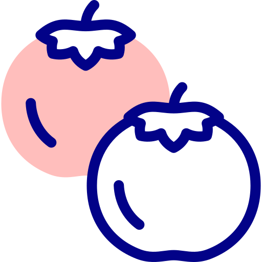 토마토 Detailed Mixed Lineal color icon