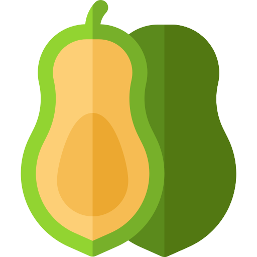 papaya Basic Rounded Flat icon