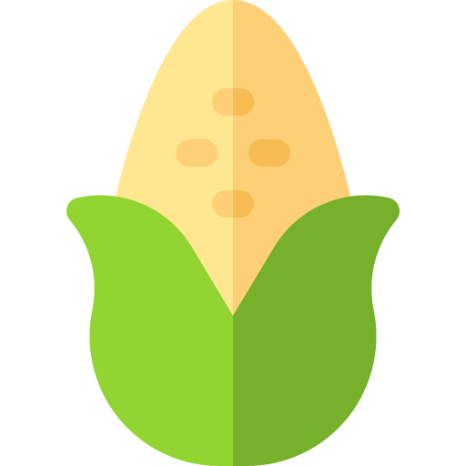 옥수수 Basic Rounded Flat icon