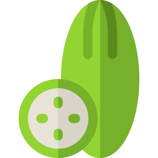 komkommer Basic Rounded Flat icoon