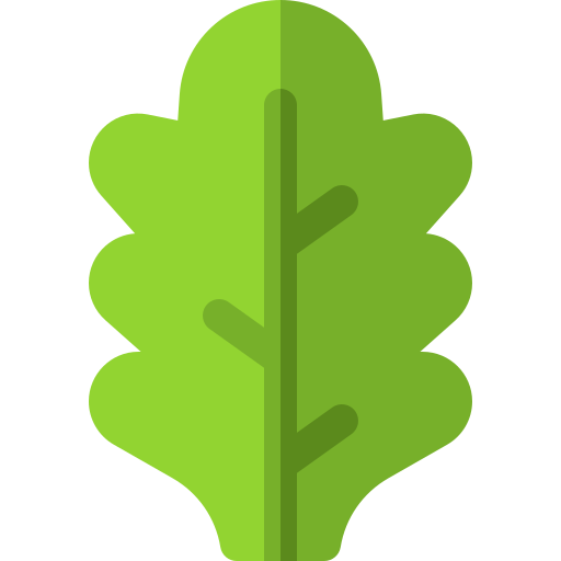 Kale Basic Rounded Flat icon