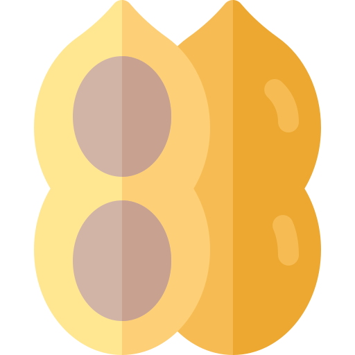 땅콩 Basic Rounded Flat icon