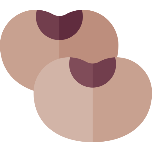 콩 Basic Rounded Flat icon