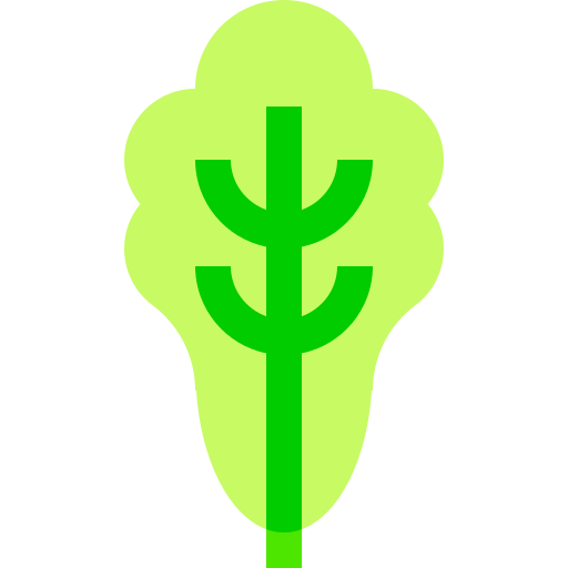 Lettuce Basic Sheer Flat icon