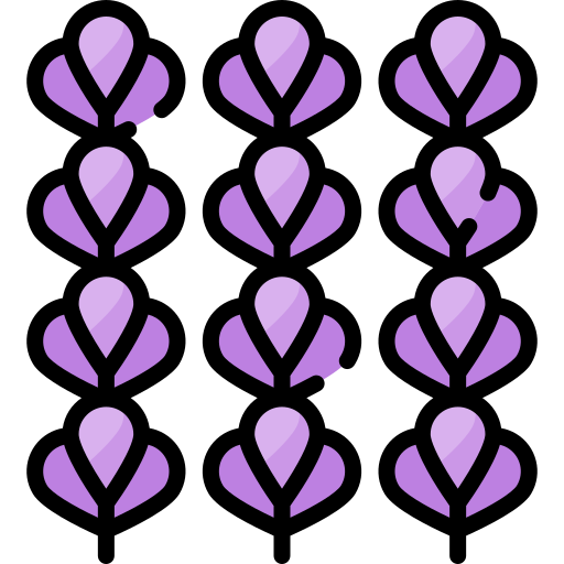 Lavender Special Lineal color icon