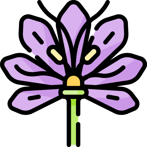 サフラン Special Lineal color icon