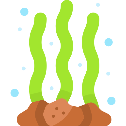 藻類 Special Flat icon