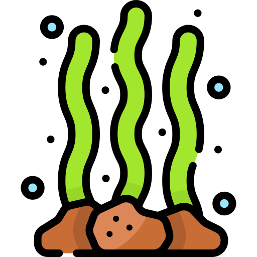 Algae Special Lineal color icon